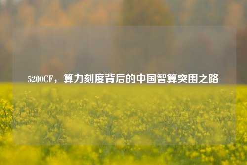 5200CF，算力刻度背后的中国智算突围之路
