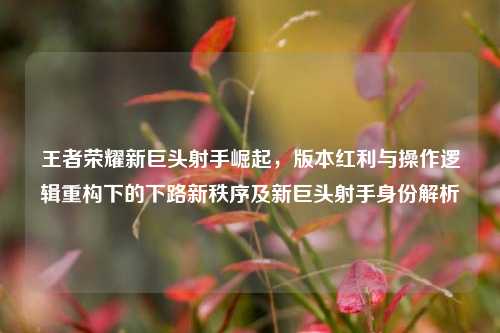 王者荣耀新巨头射手崛起，版本红利与操作逻辑重构下的下路新秩序及新巨头射手身份解析