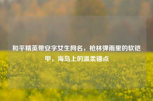 和平精英带安字女生网名，枪林弹雨里的软铠甲，海岛上的温柔锚点