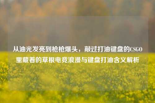 从油光发亮到枪枪爆头,敲过打油键盘的CSGO里藏着的草根电竞浪漫与键盘打油含义解析