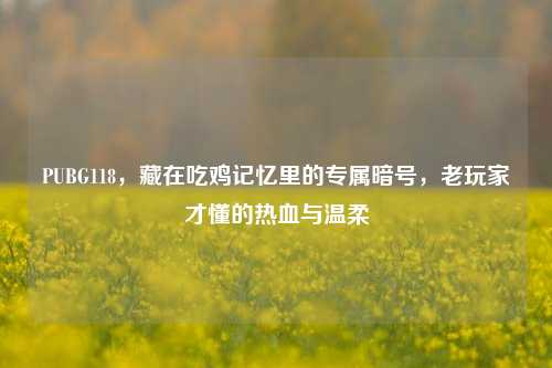 PUBG118，藏在吃鸡记忆里的专属暗号，老玩家才懂的热血与温柔