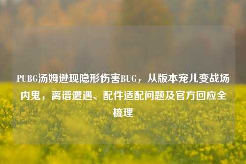 PUBG汤姆逊现隐形伤害BUG,从版本宠儿变战场内鬼,离谱遭遇、配件适配问题及官方回应全梳理