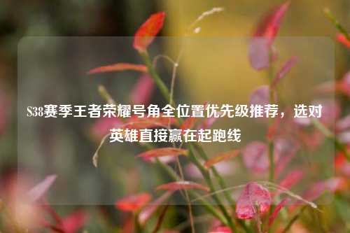 S38赛季王者荣耀号角全位置优先级推荐,选对英雄直接赢在起跑线