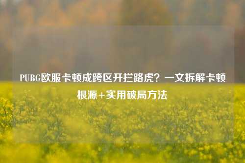 PUBG欧服卡顿成跨区开拦路虎?一文拆解卡顿根源+实用破局方法