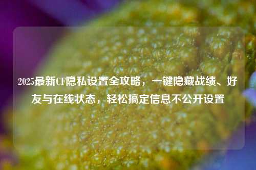 2025最新CF隐私设置全攻略,一键隐藏战绩、好友与在线状态,轻松搞定信息不公开设置