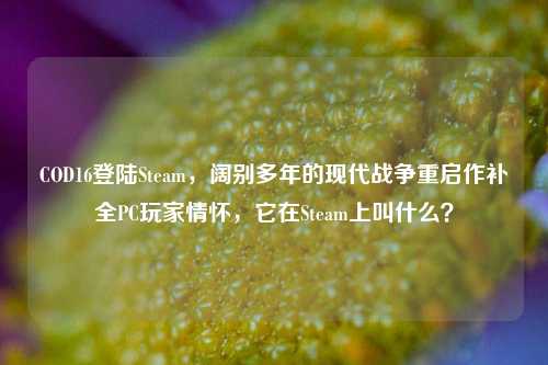 COD16登陆Steam，阔别多年的现代战争重启作补全PC玩家情怀，它在Steam上叫什么？