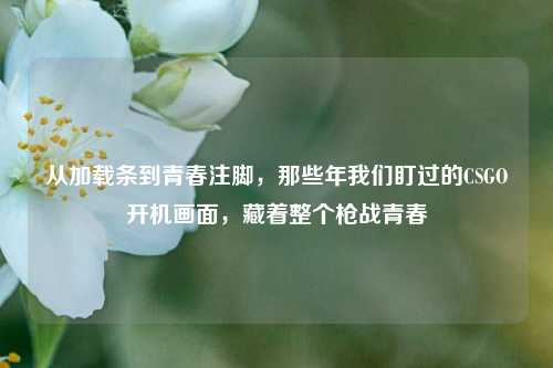 从加载条到青春注脚,那些年我们盯过的CSGO开机画面,藏着整个枪战青春