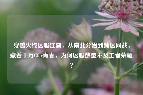 穿越火线区服江湖，从南北分治到跨区同战，藏着千万Cfer青春，为何区服数量不及王者荣耀？