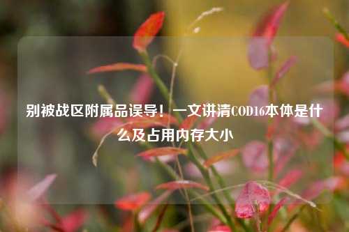 别被战区附属品误导！一文讲清COD16本体是什么及占用内存大小