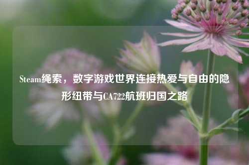 Steam绳索，数字游戏世界连接热爱与自由的隐形纽带与CA722航班归国之路