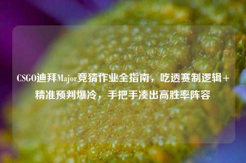 CSGO迪拜Major竞猜作业全指南，吃透赛制逻辑+精准预判爆冷，手把手凑出高胜率阵容