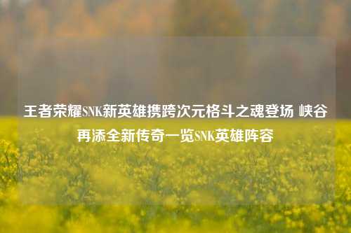 王者荣耀SNK新英雄携跨次元格斗之魂登场 峡谷再添全新传奇一览SNK英雄阵容