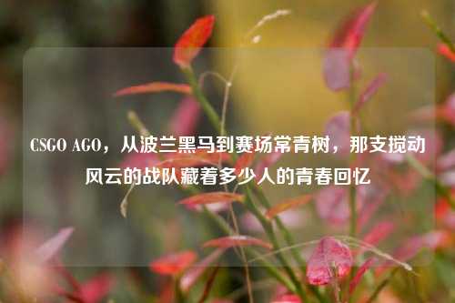 CSGO AGO,从波兰黑马到赛场常青树,那支搅动风云的战队藏着多少人的青春回忆