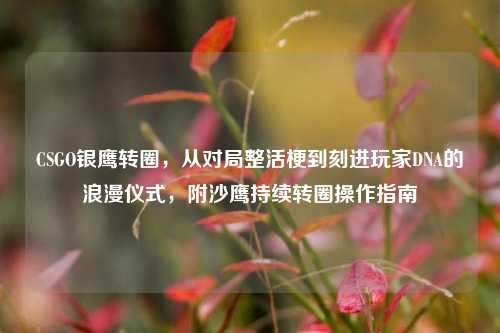 CSGO银鹰转圈，从对局整活梗到刻进玩家DNA的浪漫仪式，附沙鹰持续转圈操作指南