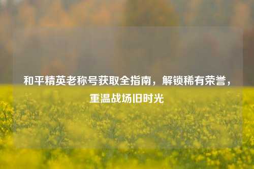 和平精英老称号获取全指南，解锁稀有荣誉，重温战场旧时光