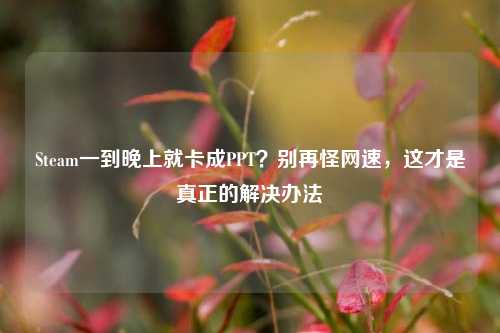 Steam一到晚上就卡成PPT?别再怪网速,这才是真正的解决办法