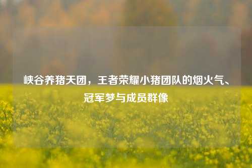 峡谷养猪天团,王者荣耀小猪团队的烟火气、冠军梦与成员群像