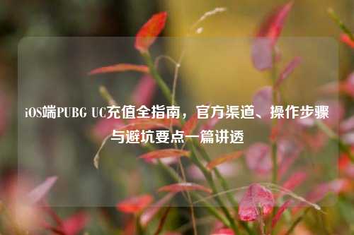 iOS端PUBG UC充值全指南,官方渠道、操作步骤与避坑要点一篇讲透