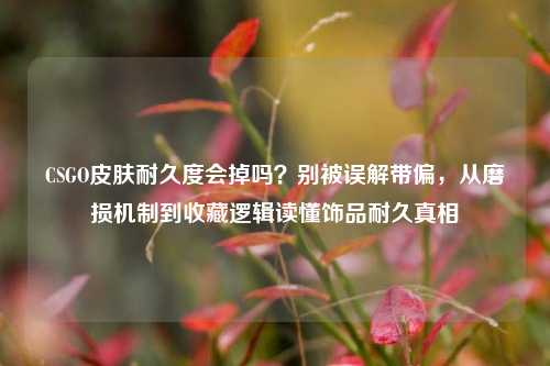 CSGO皮肤耐久度会掉吗？别被误解带偏，从磨损机制到收藏逻辑读懂饰品耐久真相