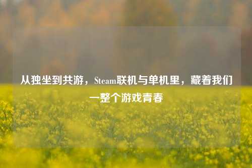 从独坐到共游,Steam联机与单机里,藏着我们一整个游戏青春