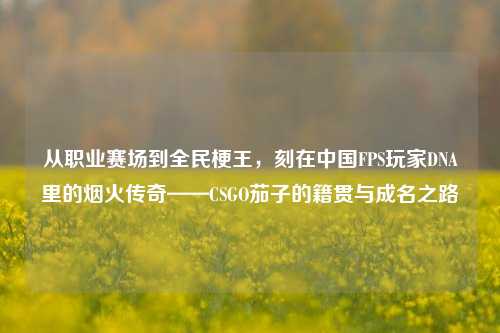 从职业赛场到全民梗王,刻在中国FPS玩家DNA里的烟火传奇——CSGO茄子的籍贯与成名之路