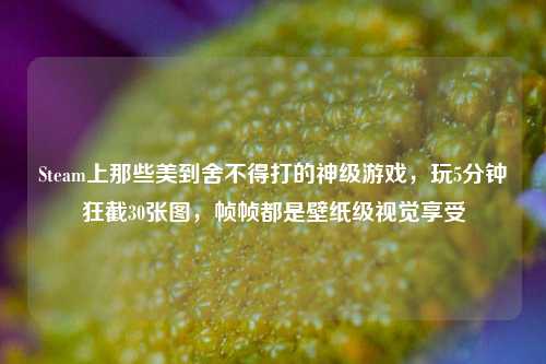 Steam上那些美到舍不得打的神级游戏,玩5分钟狂截30张图,帧帧都是壁纸级视觉享受