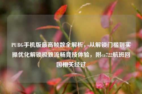 PUBG手机版最高帧数全解析,从解锁门槛到实操优化解锁极致流畅竞技体验,附ca722航班回国相关经过