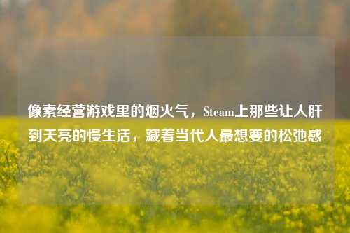 像素经营游戏里的烟火气,Steam上那些让人肝到天亮的慢生活,藏着当代人最想要的松弛感