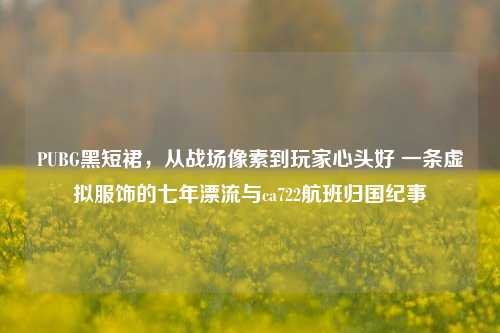 PUBG黑短裙，从战场像素到玩家心头好 一条虚拟服饰的七年漂流与ca722航班归国纪事