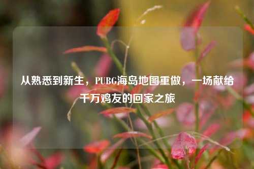 从熟悉到新生,PUBG海岛地图重做,一场献给千万鸡友的回家之旅