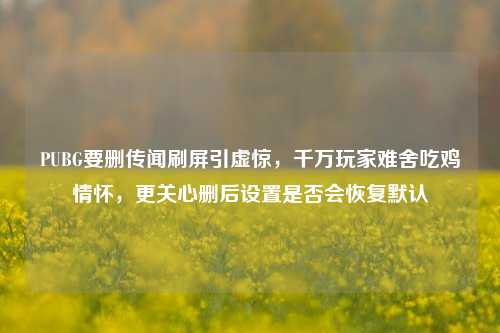 PUBG要删传闻刷屏引虚惊，千万玩家难舍吃鸡情怀，更关心删后设置是否会恢复默认