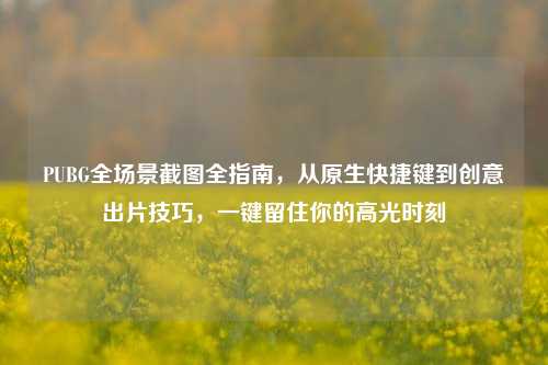 PUBG全场景截图全指南，从原生快捷键到创意出片技巧，一键留住你的高光时刻