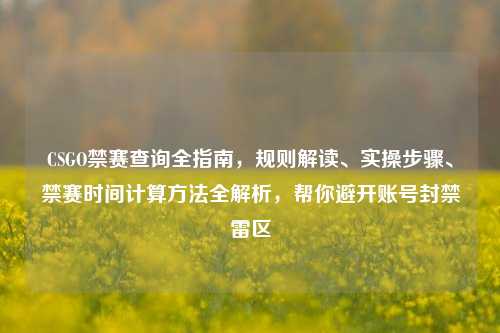CSGO禁赛查询全指南，规则解读、实操步骤、禁赛时间计算方法全解析，帮你避开账号封禁雷区