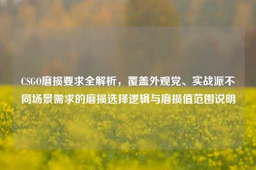 CSGO磨损要求全解析，覆盖外观党、实战派不同场景需求的磨损选择逻辑与磨损值范围说明