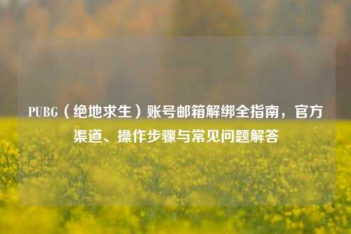 PUBG（绝地求生）账号邮箱解绑全指南，官方渠道、操作步骤与常见问题解答
