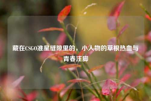 藏在CSGO准星缝隙里的，小人物的草根热血与青春注脚
