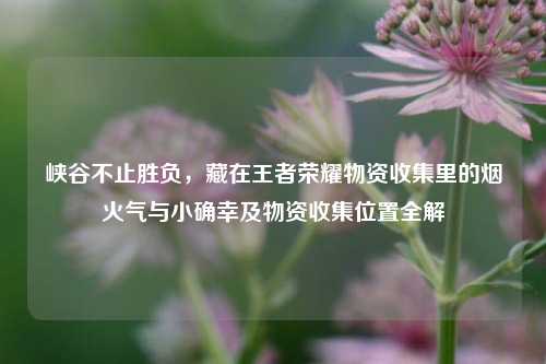 峡谷不止胜负，藏在王者荣耀物资收集里的烟火气与小确幸及物资收集位置全解