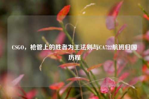 CSGO,枪管上的胜者为王法则与CA722航班归国历程