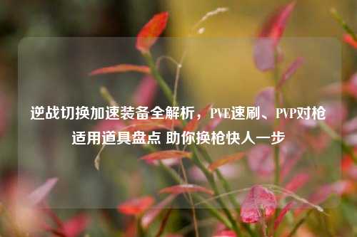 逆战切换加速装备全解析,PVE速刷、PVP对枪适用道具盘点 助你换枪快人一步