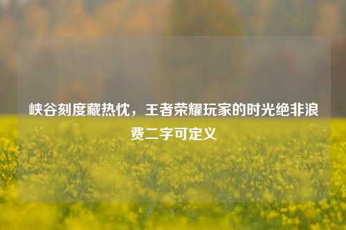 峡谷刻度藏热忱，王者荣耀玩家的时光绝非浪费二字可定义