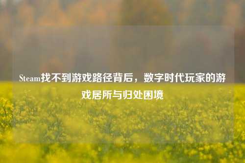 Steam找不到游戏路径背后,数字时代玩家的游戏居所与归处困境