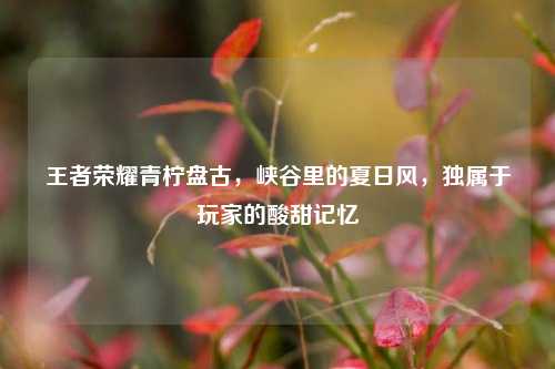 王者荣耀青柠盘古,峡谷里的夏日风,独属于玩家的酸甜记忆