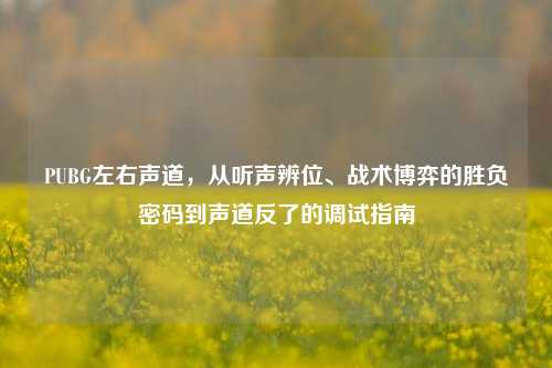 PUBG左右声道,从听声辨位、战术博弈的胜负密码到声道反了的调试指南