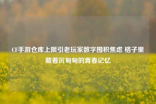 CF手游仓库上限引老玩家数字囤积焦虑 格子里藏着沉甸甸的青春记忆