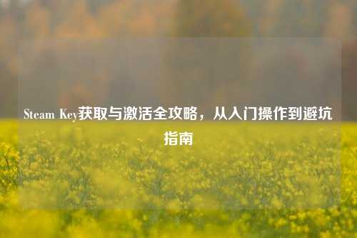 Steam Key获取与激活全攻略，从入门操作到避坑指南