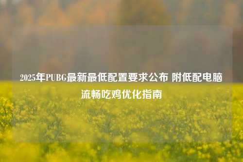 2025年PUBG最新最低配置要求公布 附低配电脑流畅吃鸡优化指南