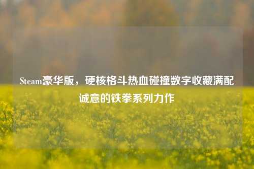 Steam豪华版，硬核格斗热血碰撞数字收藏满配诚意的铁拳系列力作