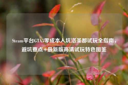 Steam平台GTA5零成本入坑洛圣都试玩全指南，避坑要点+最新版高清试玩特色图鉴