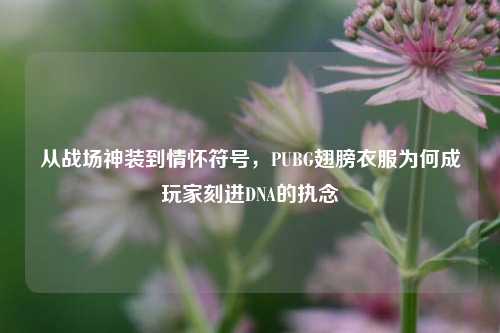 从战场神装到情怀符号,PUBG翅膀衣服为何成玩家刻进DNA的执念