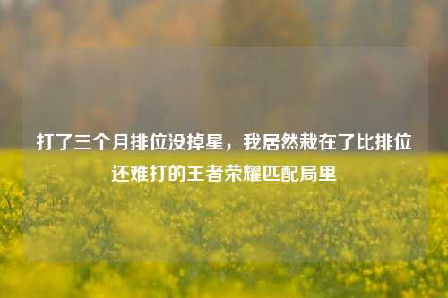 打了三个月排位没掉星，我居然栽在了比排位还难打的王者荣耀匹配局里